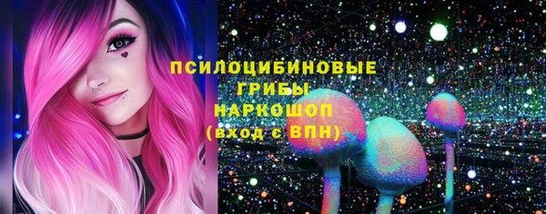 мяу мяу мука Арсеньев